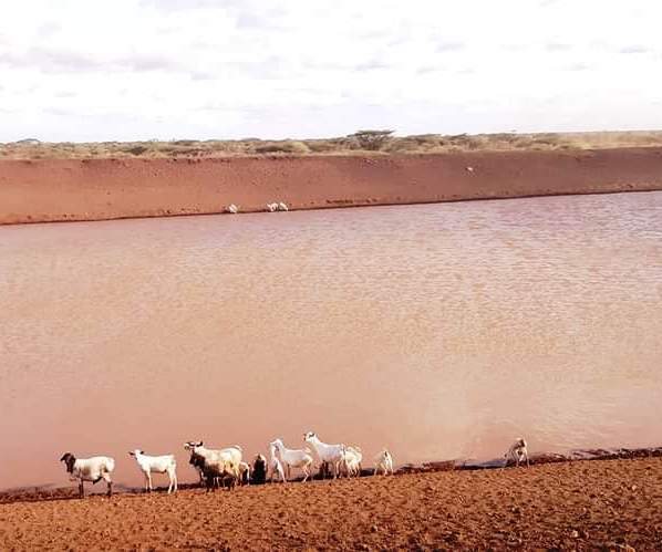 Harr Girrissa（水系 / 湖泊 / 海岸）-非行家旅行-Africa Wild Wander