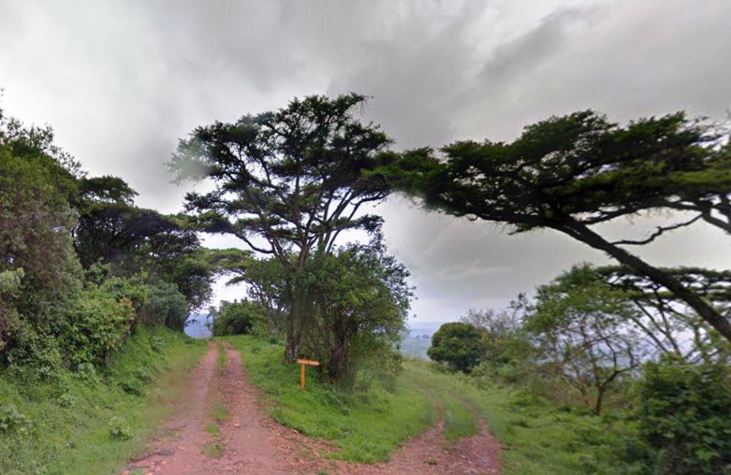 Endebess Bluff / Elephant Platform（恩德贝斯观景台）-非行家旅行-Africa Wild Wander
