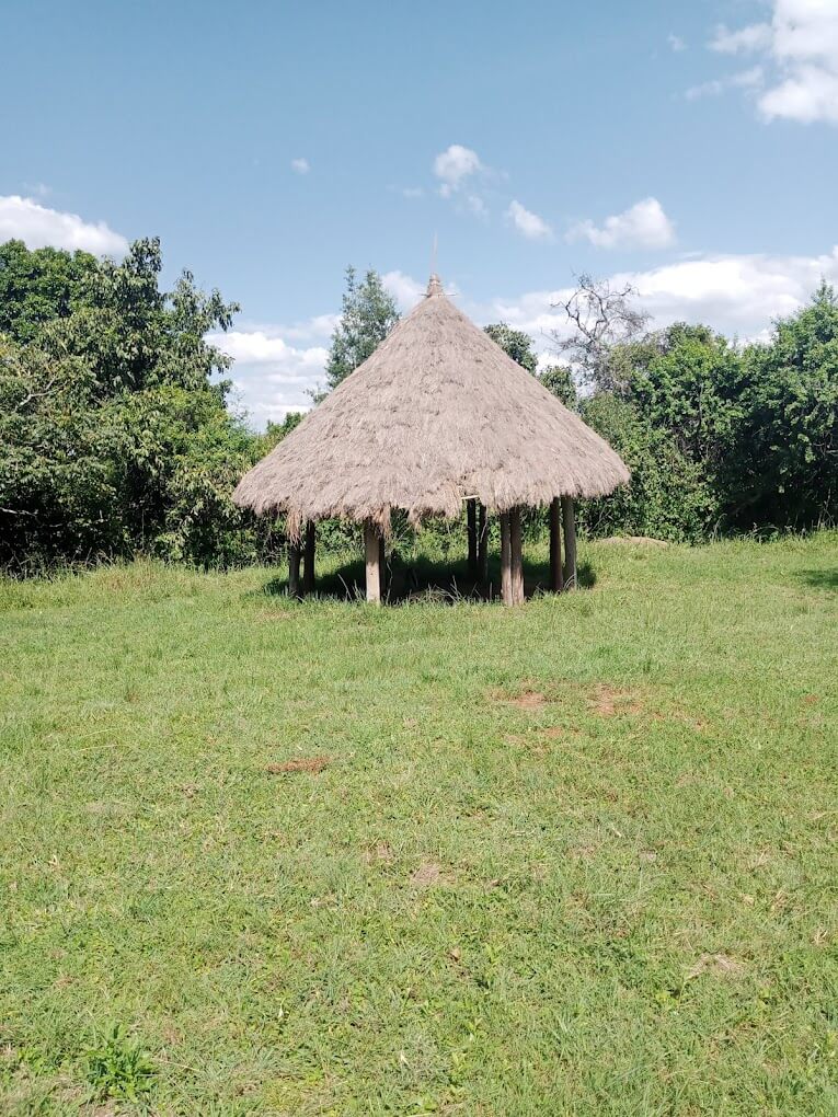 Kibugat Hill（自然景观 / 徒步）-非行家旅行-Africa Wild Wander