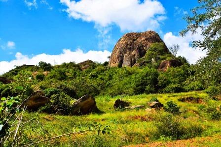 Kianjiru Hill（历史遗产 / 博物馆）-非行家旅行-Africa Wild Wander
