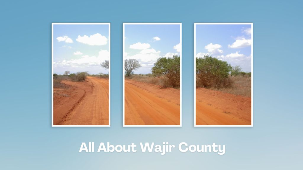 Wagalla Monument（历史遗产 / 博物馆）-非行家旅行-Africa Wild Wander