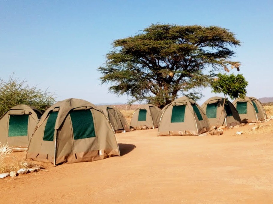 Nashipa Eco Camp(住宿 / Safari 营地)-非行家旅行-Africa Wild Wander