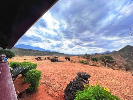 Ngulia Safari Lodge(Tsavo West / 火山与泉水)-非行家旅行-Africa Wild Wander