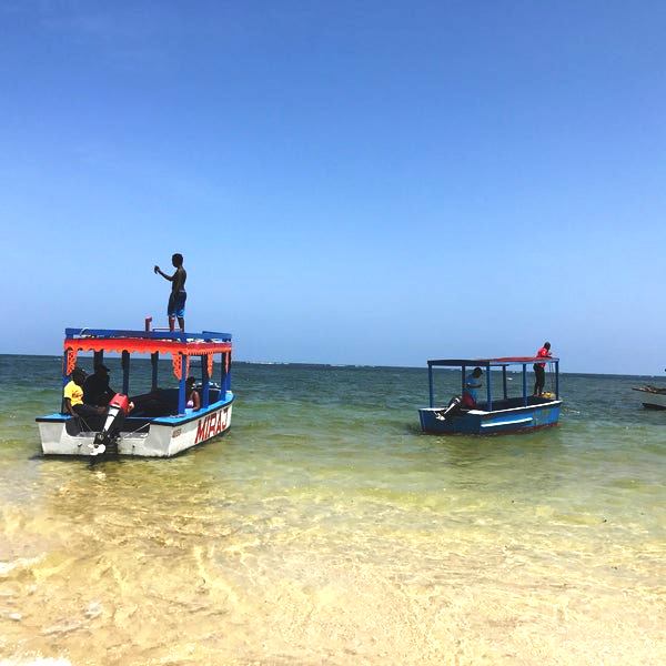 Malindi Marine Park（历史遗产 / 博物馆）-非行家旅行-Africa Wild Wander