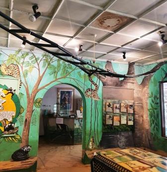Colobus Conservation(迪亚尼疣猴保护中心)-非行家旅行-Africa Wild Wander