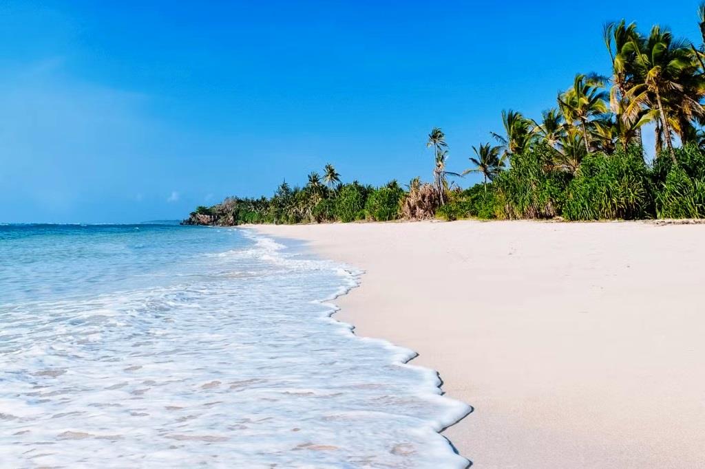 Msambweni Beach(海滩 / 岛屿)-非行家旅行-Africa Wild Wander