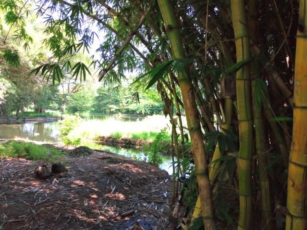 Kivungoni Springs（Kibwezi / Umani / Safari）-非行家旅行-Africa Wild Wander