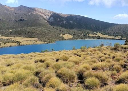 Lake Alice（艾丽斯湖）-非行家旅行-Africa Wild Wander