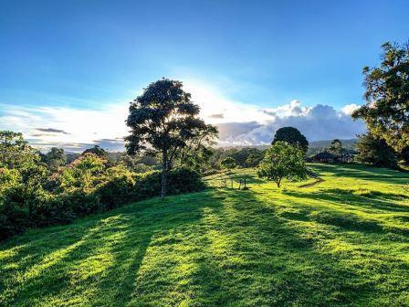 Kirinyaga County（基里尼亚加县）-非行家旅行-Africa Wild Wander