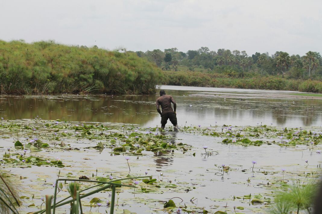 Sio Siteki Swamp（水系 / 湖泊 / 海岸）-非行家旅行-Africa Wild Wander