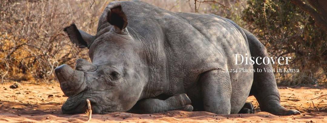 Conservancies in Kenya(肯尼亚保护地)-非行家旅行-Africa Wild Wander
