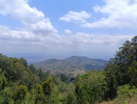 Mount Sagalla（萨加拉山）-非行家旅行-Africa Wild Wander