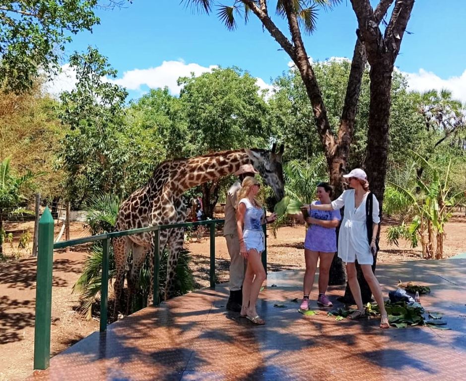 Bora Bora Wildlife Park（保护区 / 野生动物）-非行家旅行-Africa Wild Wander