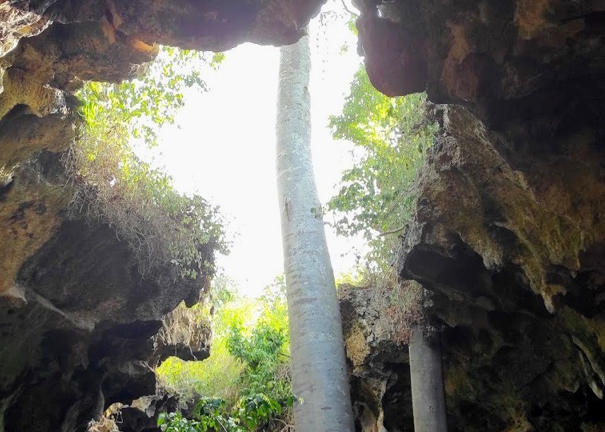 Fikirini Caves（斯瓦希里遗产 / 文化景观）-非行家旅行-Africa Wild Wander
