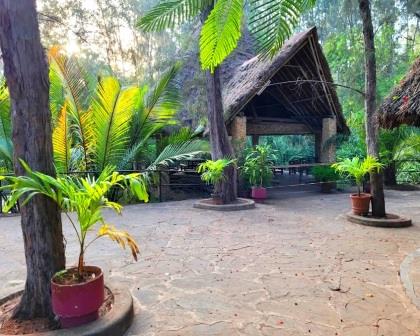 Butterfly Pavillion（生态公园 / 海洋保护）-非行家旅行-Africa Wild Wander