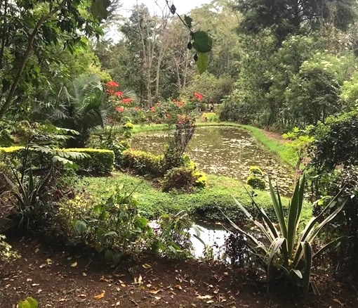 Kip’s Eco Resort（住宿 / 休闲设施）-非行家旅行-Africa Wild Wander