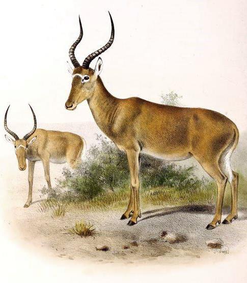Garissa County（加里萨县）-非行家旅行-Africa Wild Wander