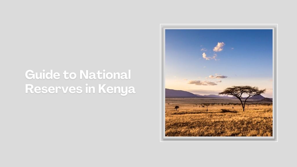Lake Kamnarok-非行家旅行-Africa Wild Wander