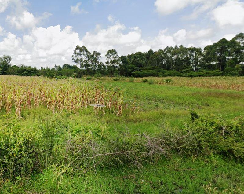 Chebara Irrigation Scheme（县域目的地 / 专题资料）-非行家旅行-Africa Wild Wander