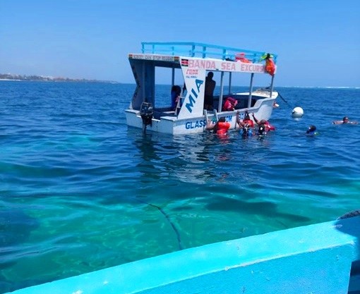 Mombasa Marine Park（蒙巴萨海洋公园）-非行家旅行-Africa Wild Wander