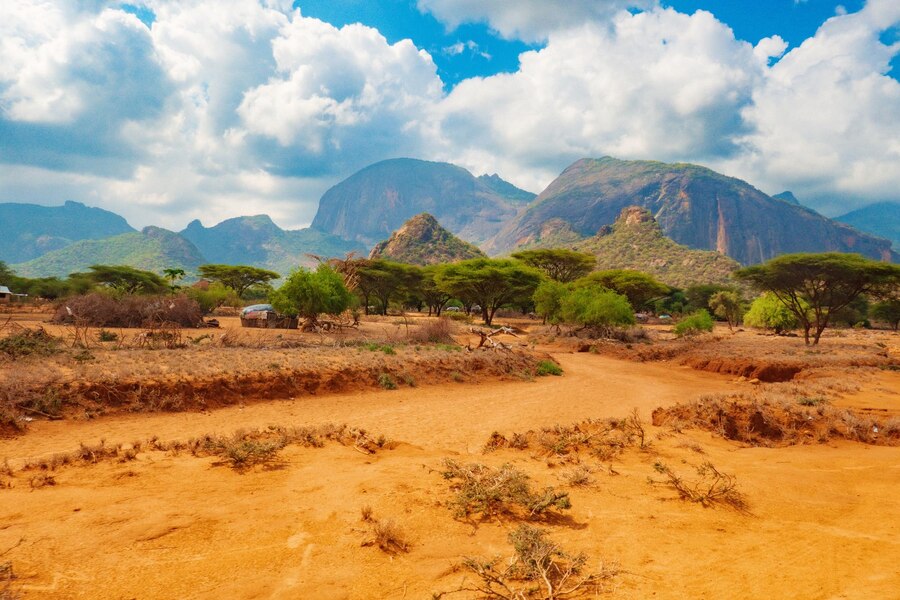 Ndoto Mountains（恩多托山脉）-非行家旅行-Africa Wild Wander