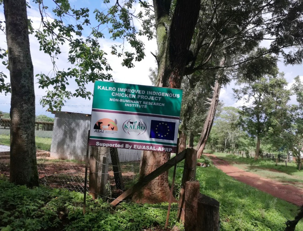 MMUST Botanical Garden（马辛德穆利罗大学植物园）-非行家旅行-Africa Wild Wander