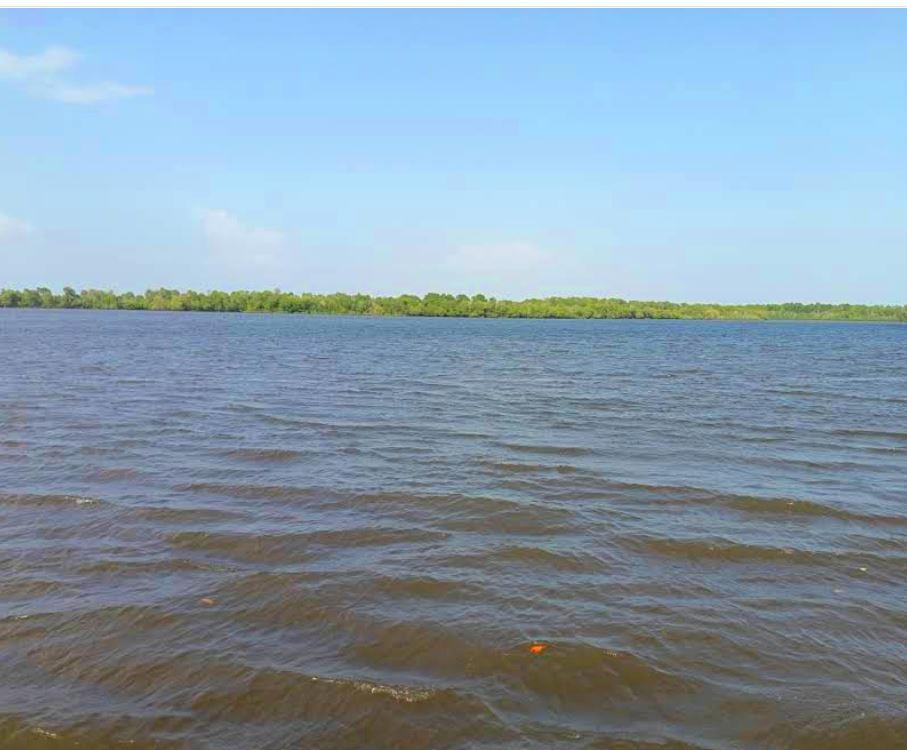 Kizuke Beach（海岛 / 海滩 / 船行体验）-非行家旅行-Africa Wild Wander