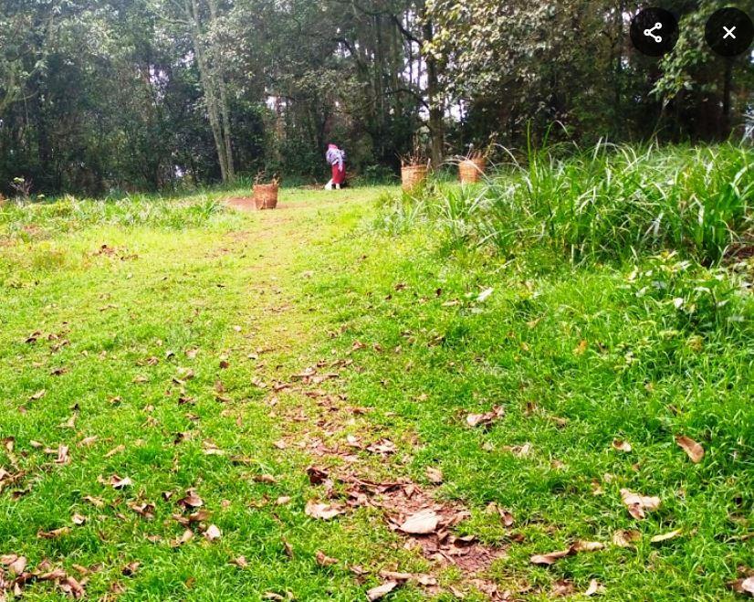 Kamuruana Hill(卡穆鲁阿纳山)-非行家旅行-Africa Wild Wander