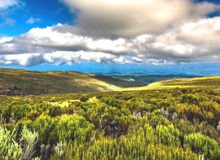 Mount Kenya One-Day Trip（Mount Kenya / 高山路线）-非行家旅行-Africa Wild Wander