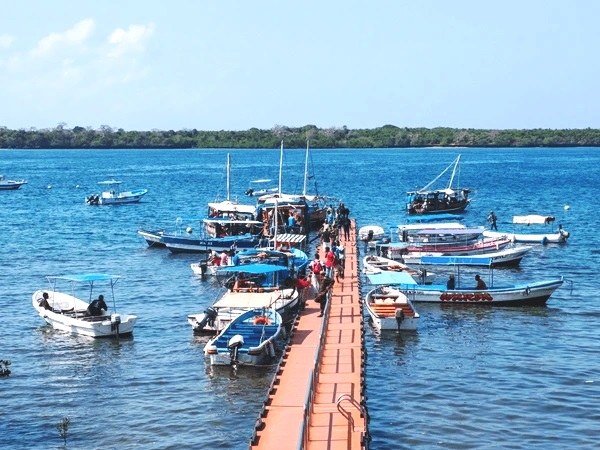 Kisite-Mpunguti Marine Park & Reserve（基西特-姆蓬古蒂海洋公园与保护区）-非行家旅行-Africa Wild Wander