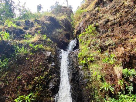 Kenungu Falls（瀑布 / 森林水系）-非行家旅行-Africa Wild Wander
