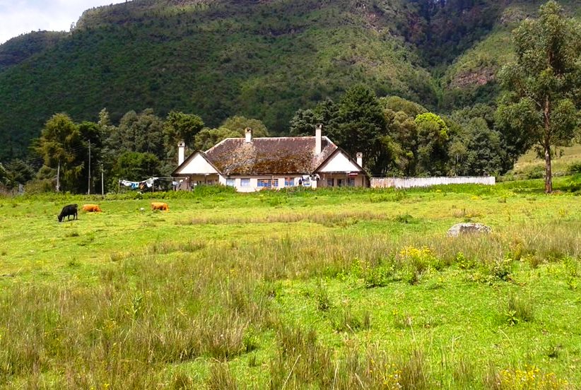 Wanjohi Valley（瀑布 / 森林水系）-非行家旅行-Africa Wild Wander