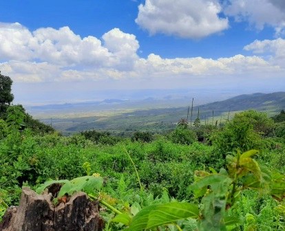 Mau Forest Reserve（毛森林保护区）-非行家旅行-Africa Wild Wander
