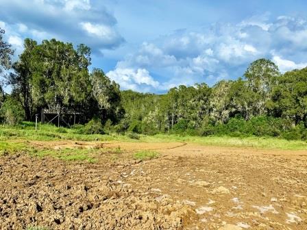 Cedar Retreat（住宿休闲 / 艺术度假）-非行家旅行-Africa Wild Wander