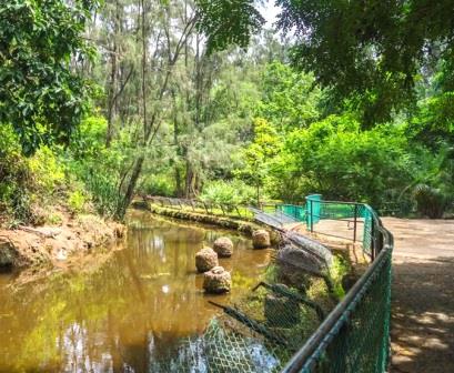 Haller Park Mombasa（蒙巴萨哈勒公园）-非行家旅行-Africa Wild Wander