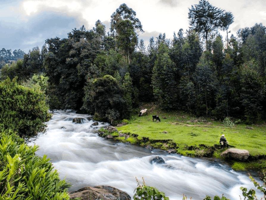 Aberdare Fishing Lodge（Aberdare 森林 / 徒步）-非行家旅行-Africa Wild Wander