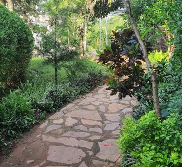 Treat House Resort（Treat House 度假村）-非行家旅行-Africa Wild Wander