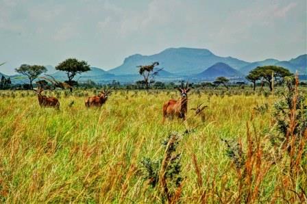Boni National Reserve, Ruma National Park, Bisanadi National Reserve, Buffalo Springs National Reserve, Shaba National Reserve（水系 / 湖泊 / 海岸）-非行家旅行-Africa Wild Wander