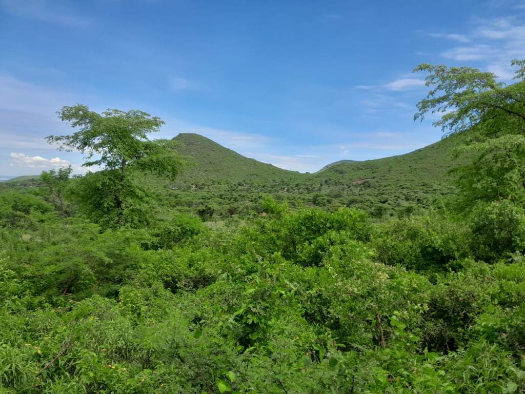 Ruri Hills（水系 / 湖泊 / 海岸）-非行家旅行-Africa Wild Wander