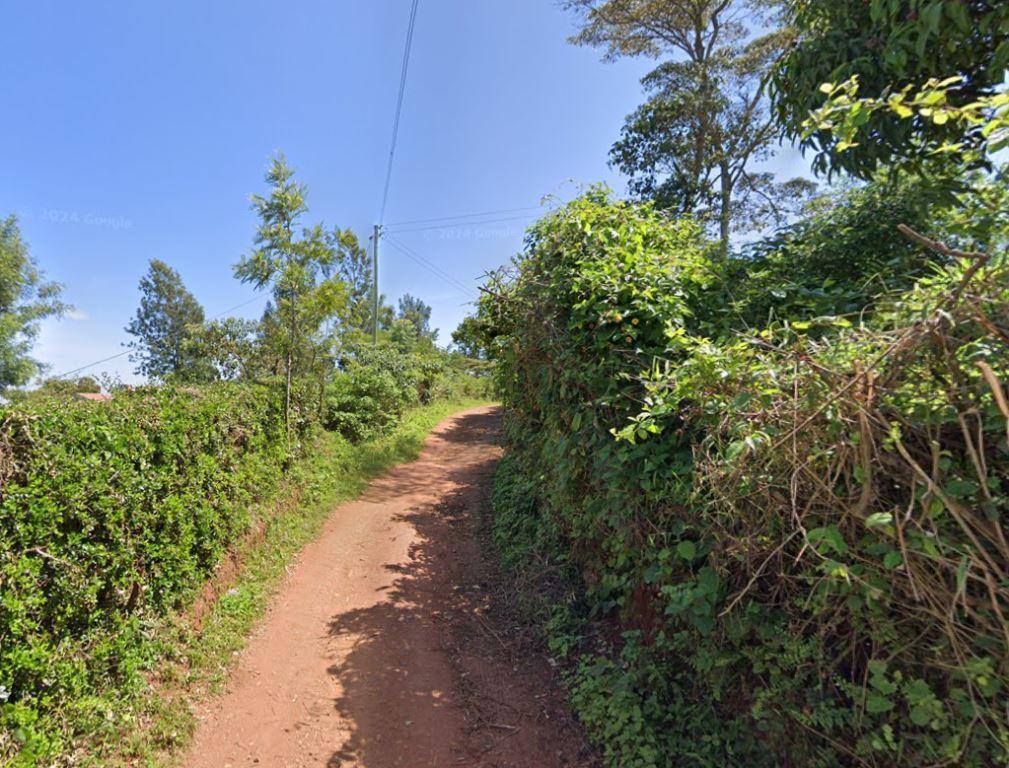 Kanzalu Range(山地 / 岩石 / 观景)-非行家旅行-Africa Wild Wander