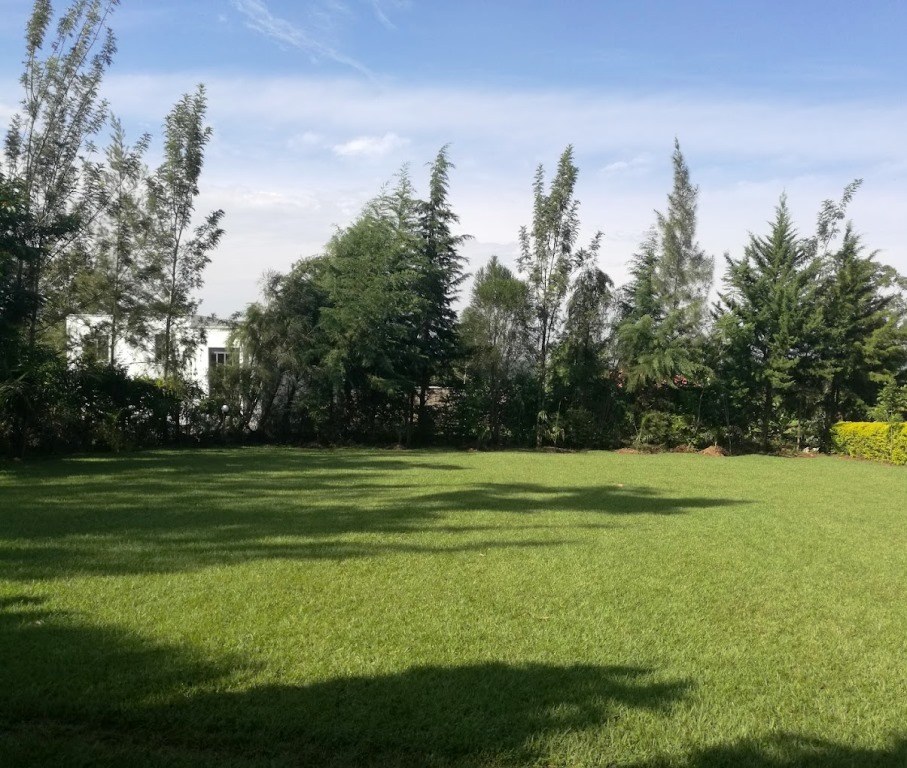 Treat House Resort（Treat House 度假村）