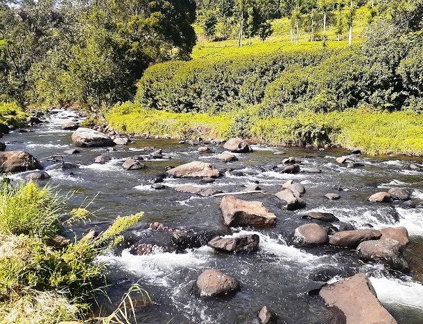 Mathioya River（马蒂奥亚河）-非行家旅行-Africa Wild Wander