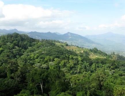 Taita Research Station（泰塔研究站）-非行家旅行-Africa Wild Wander
