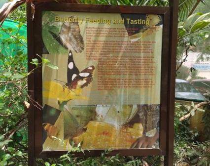 Mombasa Butterfly House（生态公园 / 海洋保护）-非行家旅行-Africa Wild Wander