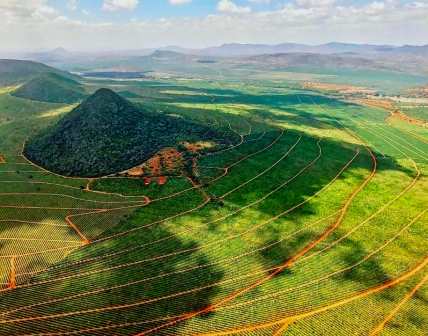 Teita Sisal Estate（农业 / 庄园）-非行家旅行-Africa Wild Wander