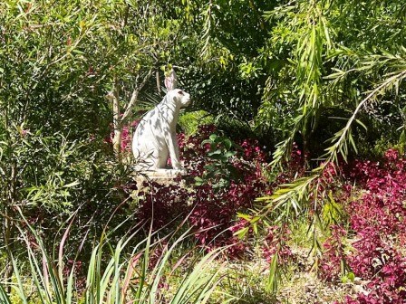 Shilahi Wellness Garden（希拉希康养花园）-非行家旅行-Africa Wild Wander