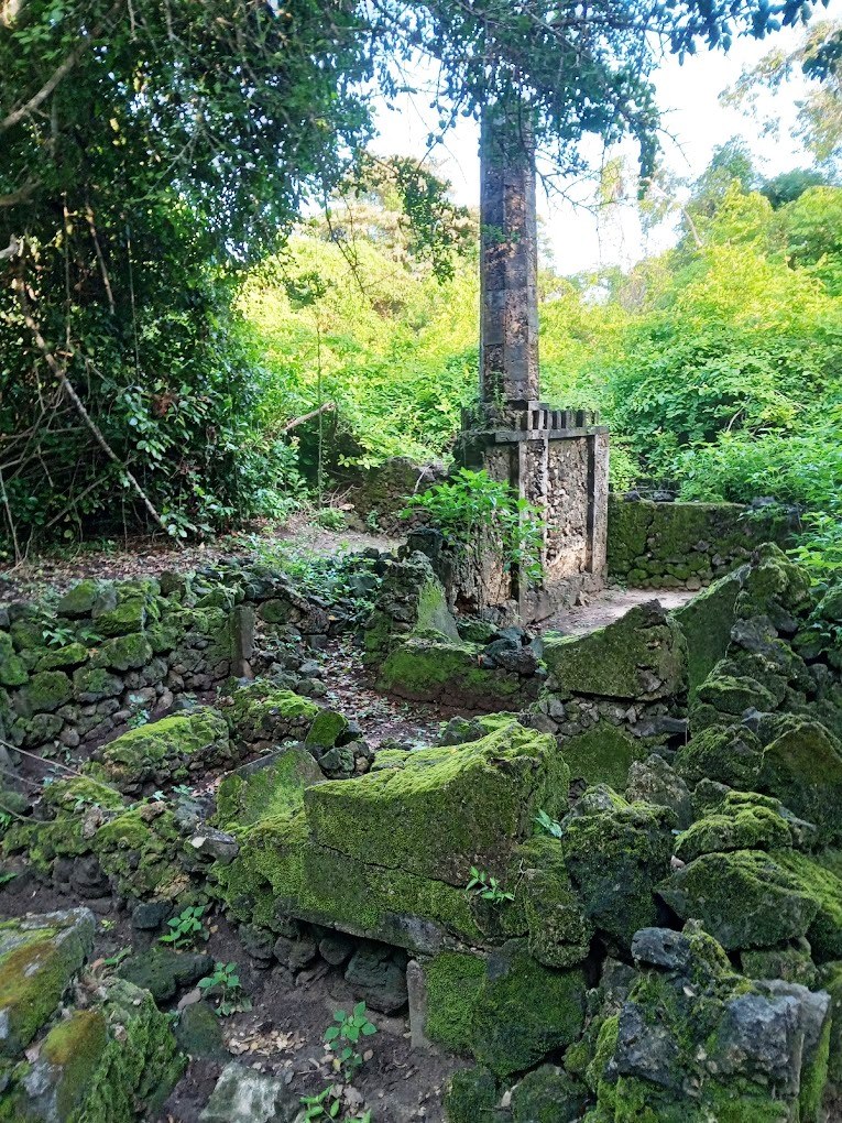 Kirepwe Ruins（水系 / 湖泊 / 海岸）-非行家旅行-Africa Wild Wander