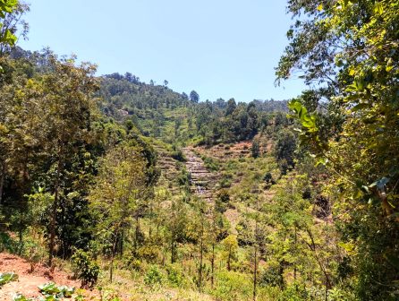 Ilovoto Falls(山地 / 岩石 / 瀑布 / 观景点)-非行家旅行-Africa Wild Wander