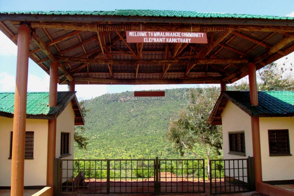 Mwaluganje Elephant Sanctuary（姆瓦卢甘杰大象保护区）-非行家旅行-Africa Wild Wander