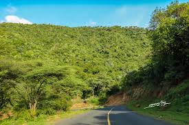 Bugar Forest（自然景观 / 徒步）-非行家旅行-Africa Wild Wander